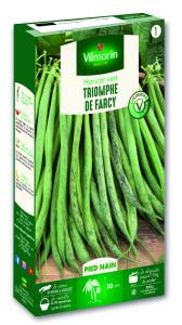 Haricot Nain Vert Triomphe de Farcy